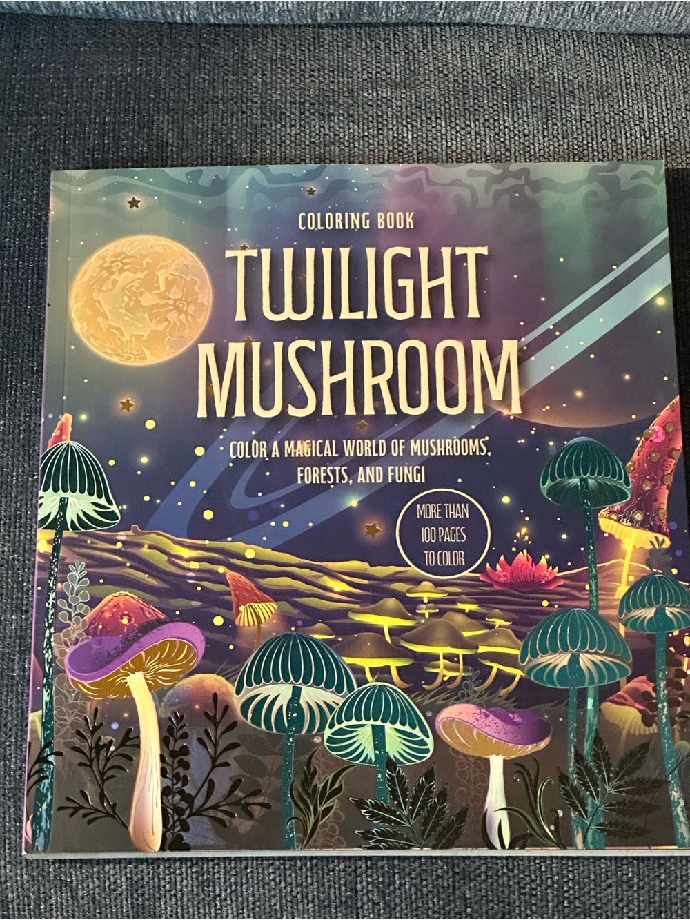 Twilight Mushroom Coloring Book